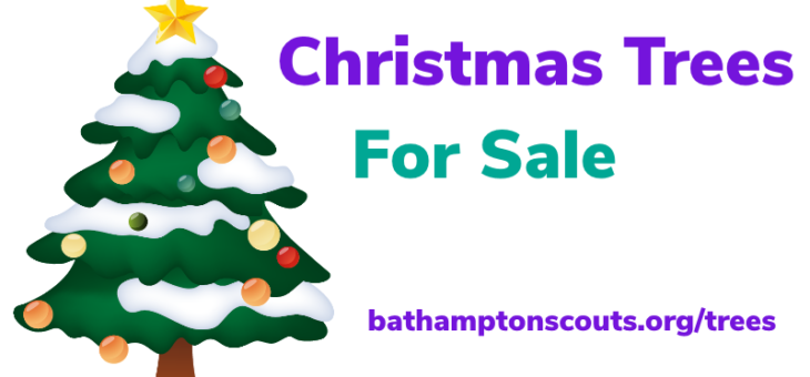 Christmas Tree Selling 2023