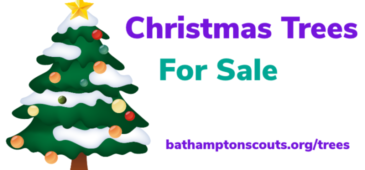 Christmas Tree Selling 2024